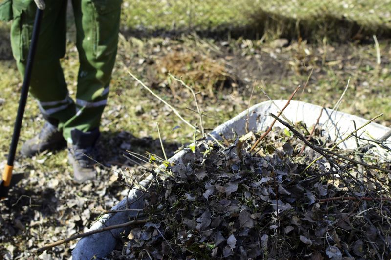 Brush Clearing Service in Gwinnett County, GA