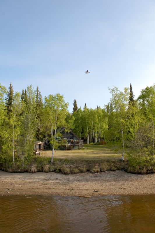 Easement Land Clearing in Gwinnett County, GA