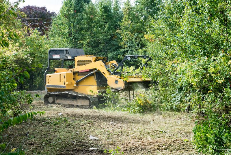 Field Clearing in Katy, TX