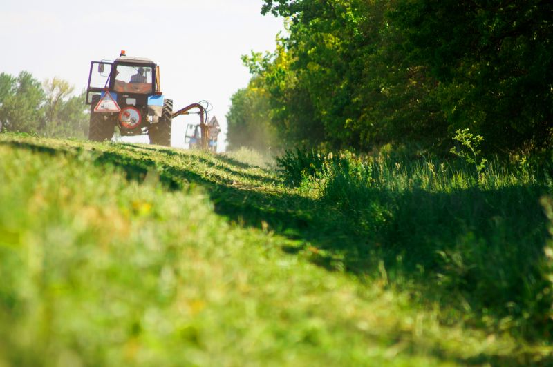 Pasture Clearing in Houston, TX