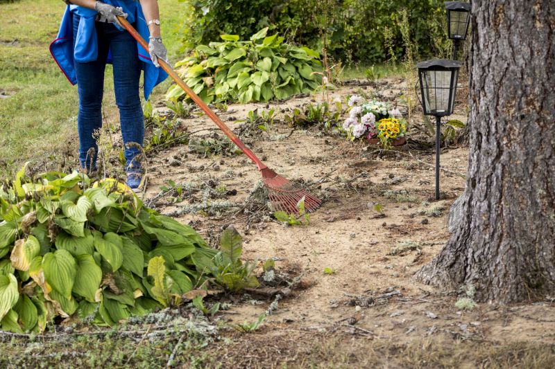 Property Line Clearing in Cumming, GA