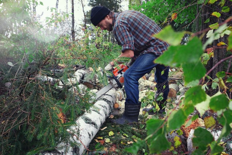 Spruce Tree Removal in Montgomery County, PA