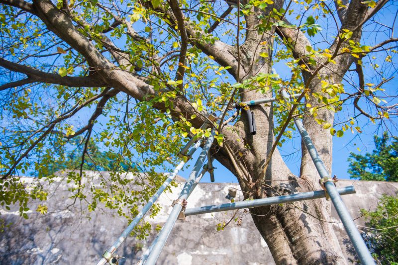 Summer Considerations